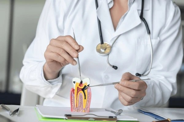 root canal treatment in midtown toronto on